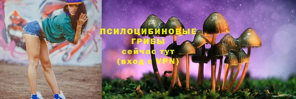 СК Лагань