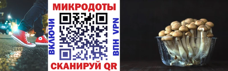 Галлюциногенные грибы ЛСД Купить Когалым